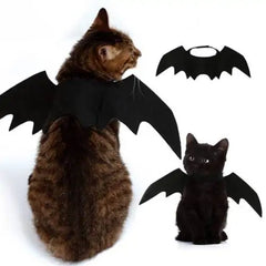 Halloween Pet Costume